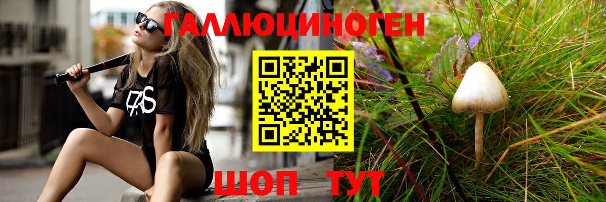 Протвино  Галлюциногенные грибы Cubensis  Вход с VPN 